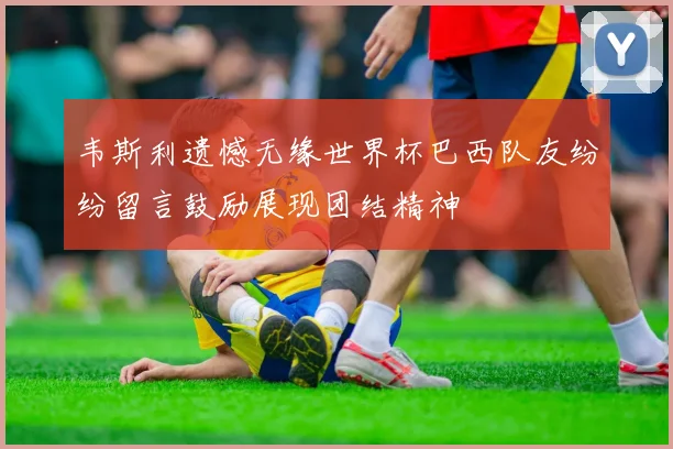 韦斯利遗憾无缘世界杯巴西队友纷纷留言鼓励展现团结精神