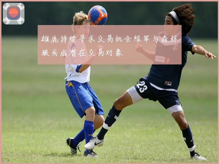 雄鹿持续寻求交易机会绿军与森林狼或成潜在交易对象